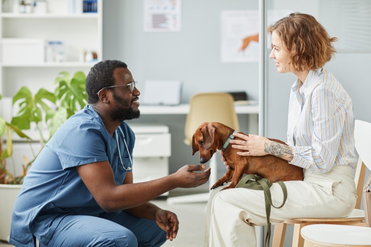 A smiling veterinarian talks with a person holding a dog on their lap.